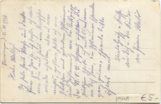 image of the back side of article no. P 5209