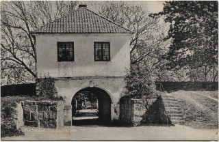 Abbildung von Artikel Nr. P 5217