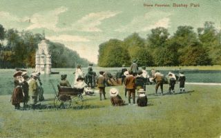 Abbildung von Artikel Nr. P 87