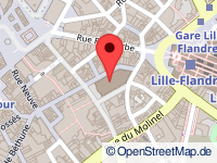 map of Lille / Ryssel / Rijsel