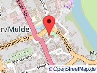 Karte von Trebsen/Mulde