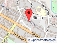 Karte von Riesa (Stadt)